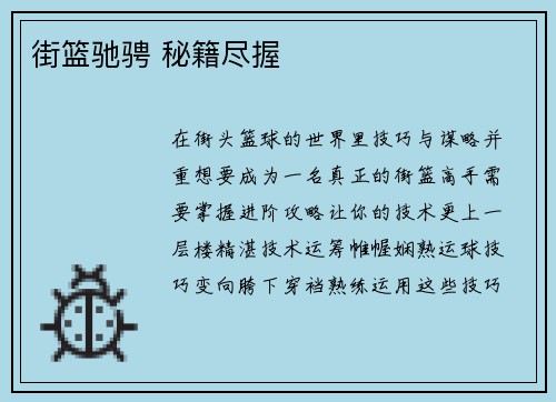 街篮驰骋 秘籍尽握
